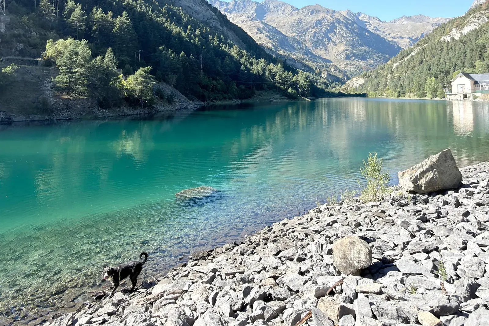 Lago de aguas turquesas entre montañas, con un perro negro junto a la orilla de piedras